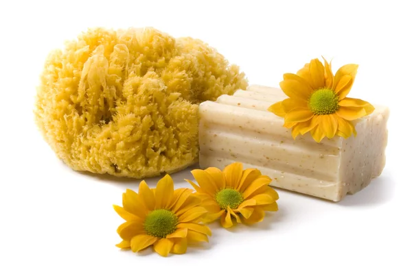 Természetes szivacs, szappan és virágok — Stock Fotó