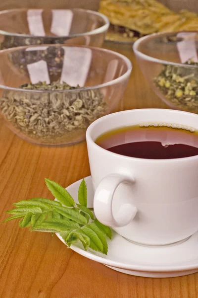 Černý čaj s bylinkami — Stock fotografie