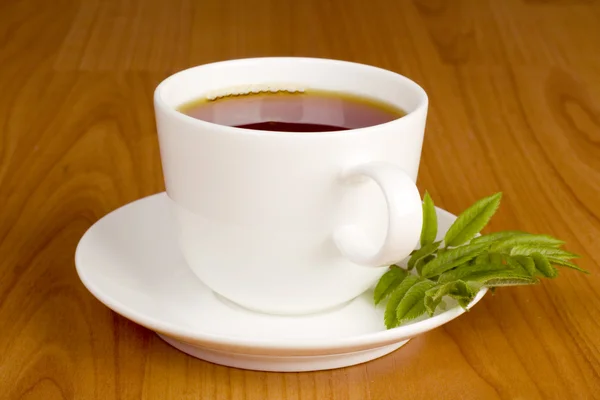 Cup of black tea — Stock Photo, Image