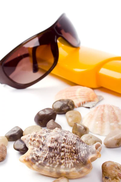 Skaller, solbriller og lotion - Stock-foto