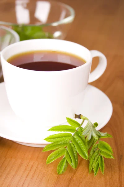 En kopp svart te – stockfoto