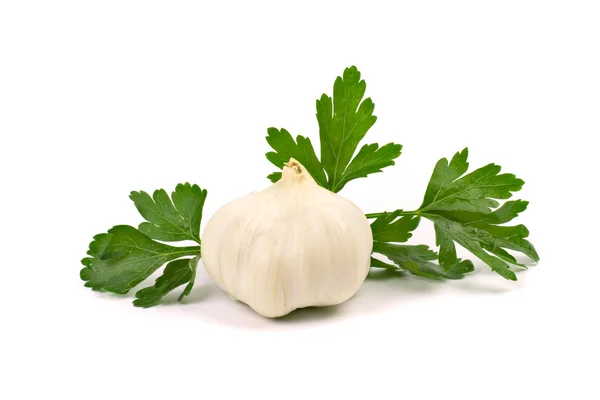 Garlic with green parsley — Stock Photo, Image