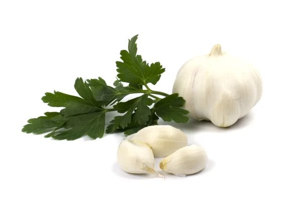 Garlics med persilja — Stockfoto