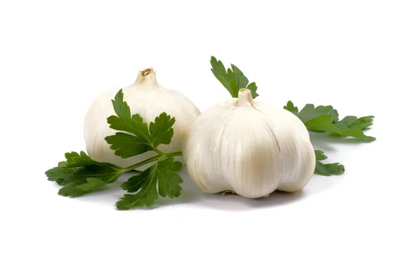 Garlics with parsley — Stock Photo, Image