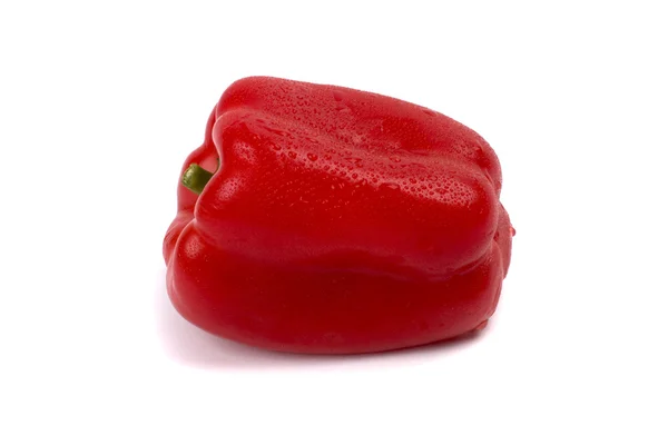 Roter Paprika — Stockfoto