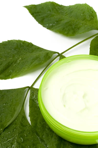 Face cream with green leaf — Stock Photo, Image