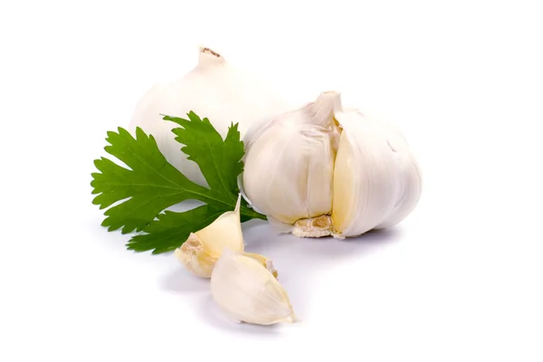Garlics with green parsley — Stock Photo, Image