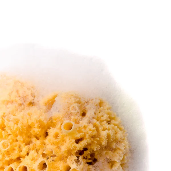 用肥皂泡沫的天然海绵 — 图库照片