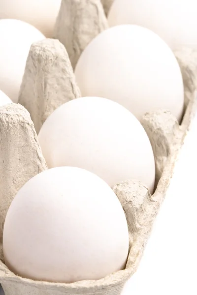 Ovos brancos na embalagem — Fotografia de Stock