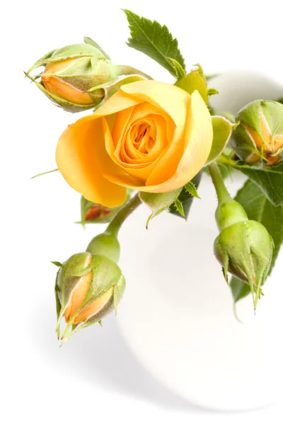 Żółte kwiaty bukiet — Zdjęcie stockowe