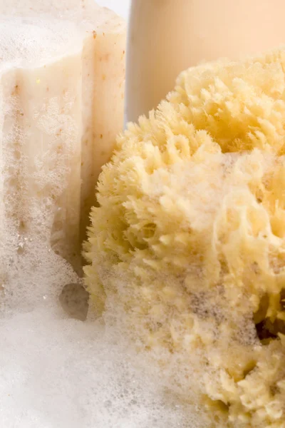 Soap, natural sponge and foam — Stock Photo, Image