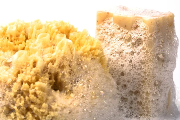 Soap and natural sponge — Stock Photo, Image