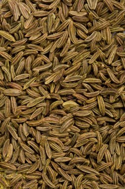 Caraway seeds clipart