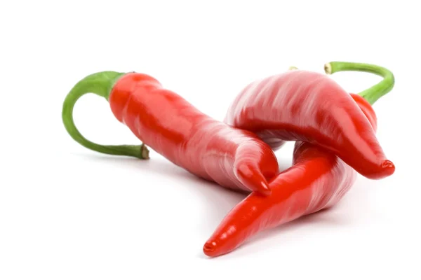 Three red chilly peppers — Stock Photo, Image