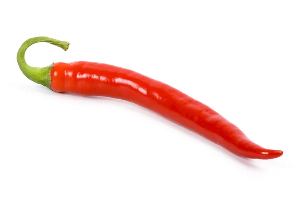 Red chilly pepper — Stock Photo, Image