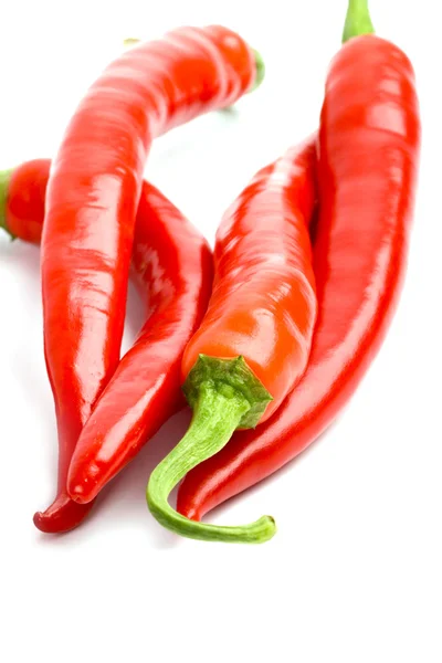 Quattro peperoncini rossi — Foto Stock