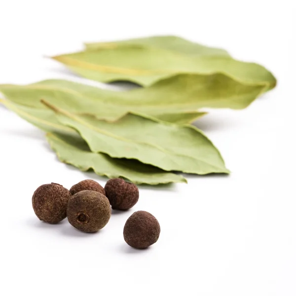 Bay leafs och svart peppar — Stockfoto