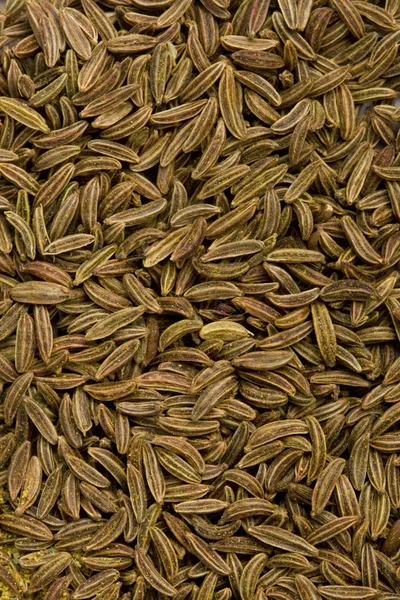 Semințe de caraway — Fotografie, imagine de stoc