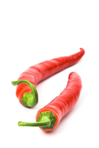Two red chilly peppers — Zdjęcie stockowe
