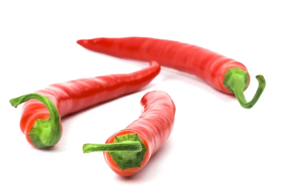 Three red chilly peppers — Stock Photo, Image