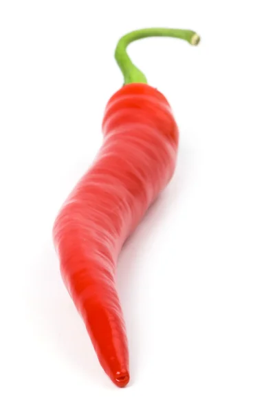 Červená, studená paprika — Stock fotografie