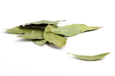 Bay leaves clipart