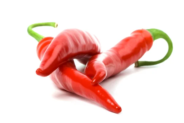Tři červené chilly papričky — Stock fotografie