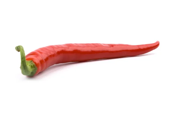 Červená, studená paprika — Stock fotografie
