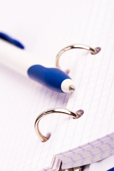 Planeador e caneta — Fotografia de Stock