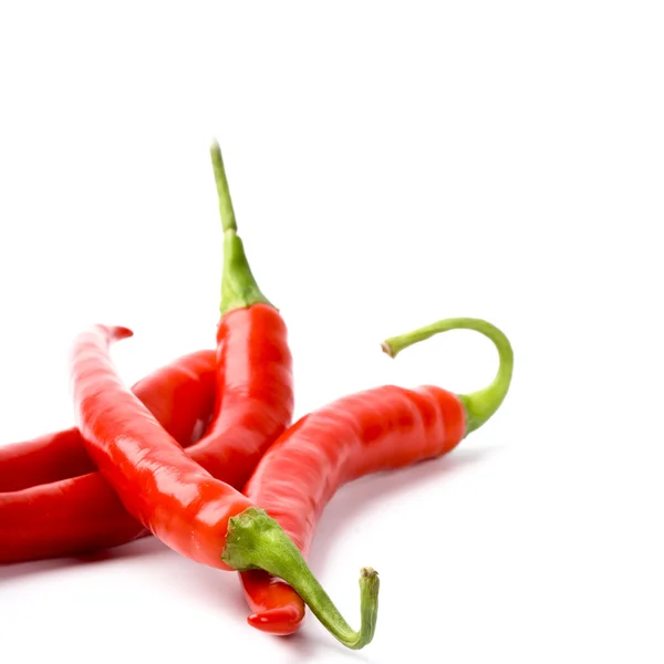 Čtyři červené chilly papričky — Stock fotografie