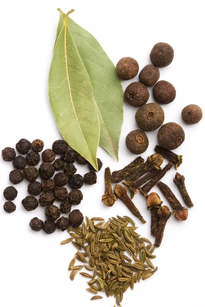 Bay leaves, cloves, caraway — Stock Photo, Image