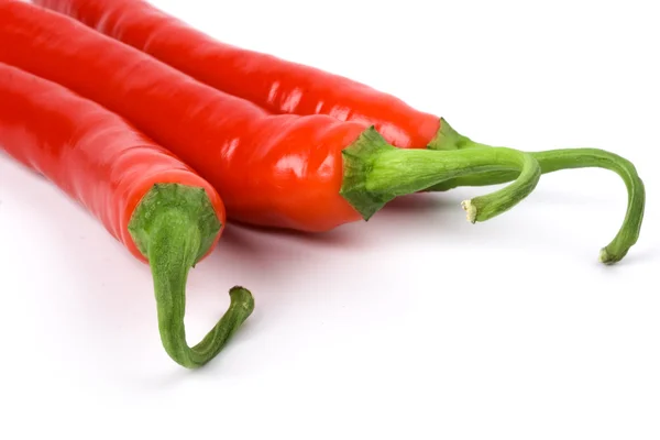 Três pimentas vermelhas frias — Fotografia de Stock