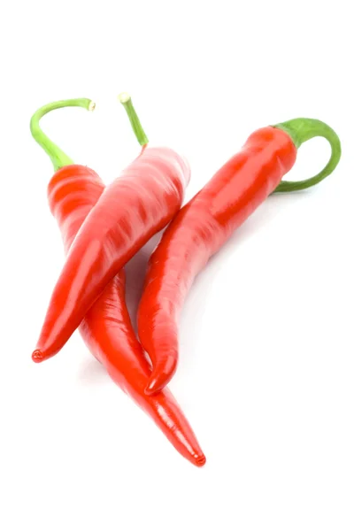 Τρεις κόκκινες πιπεριές ψυχρός — Φωτογραφία Αρχείου