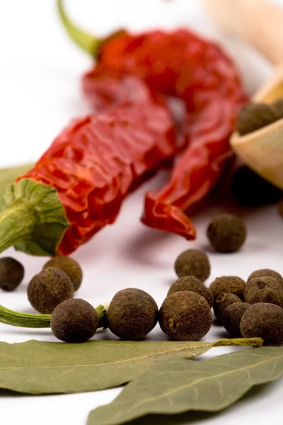 Koření: bobkový list, pepř, mletá paprika — Stock fotografie
