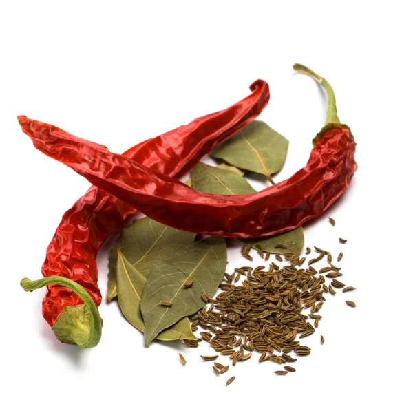 Mletá paprika, kmín a bobkový list — Stock fotografie