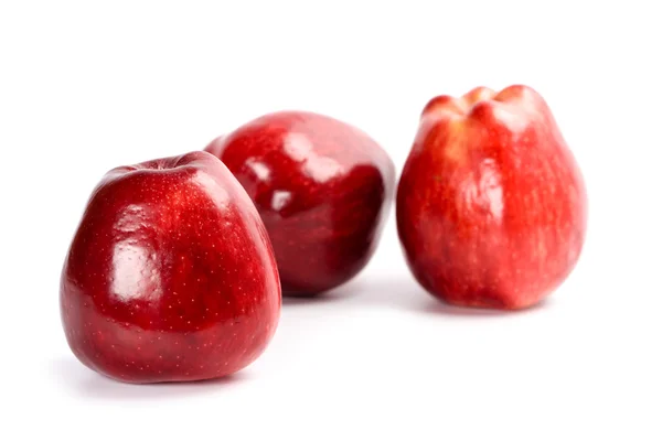 Três maçãs vermelhas — Fotografia de Stock