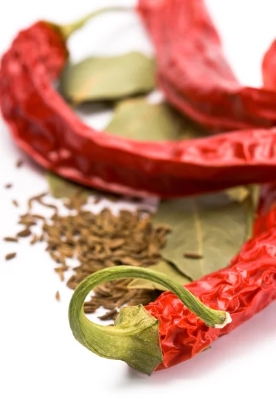 Pimento, caraway and bay leaves — Stock Photo, Image