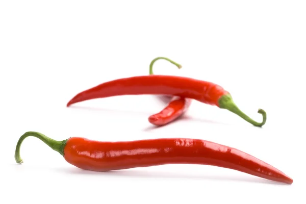 Tři červené chilli papričky — Stock fotografie