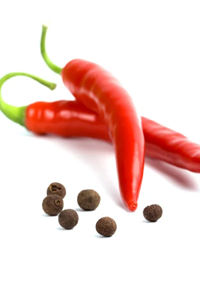 Två röda cayenne och aromatiska peppar — Stockfoto