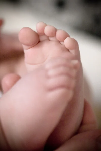 Pés de bebé — Fotografia de Stock