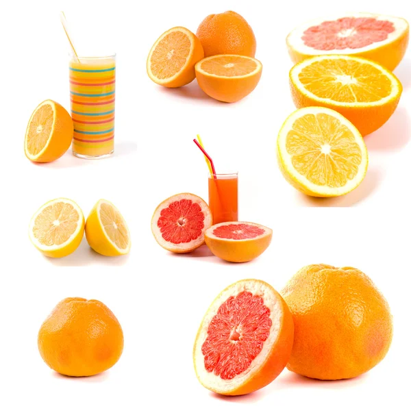 Citrus samling — Stockfoto