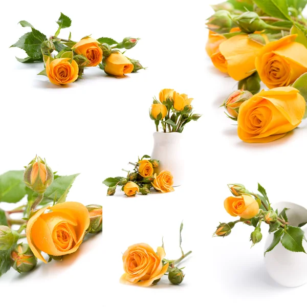 Flores amarillas fotos de stock, imágenes de Flores amarillas sin royalties  | Depositphotos