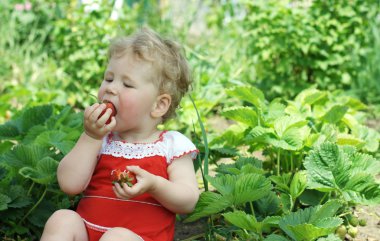 Child eats a strawberry clipart