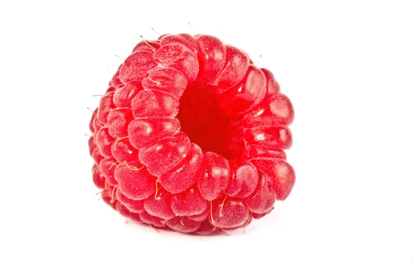 Berry een framboos — Stockfoto