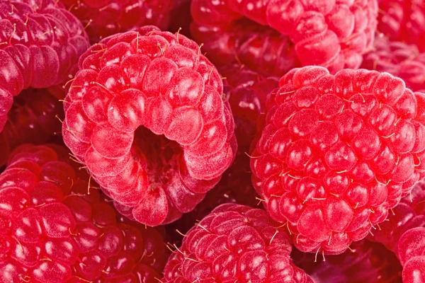Background from raspberry berries — Stock Photo, Image