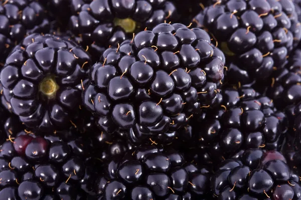 Achtergrond van blackberry bessen — Stockfoto