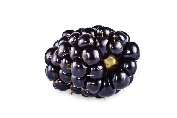 Berry van een blackberry — Stockfoto