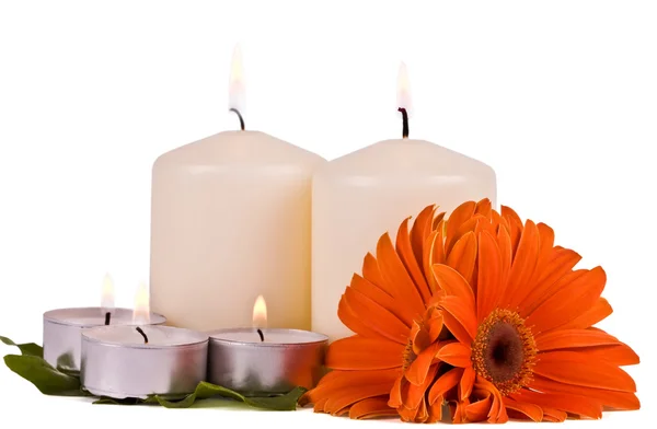 Brennende Kerzen und Blumen Gerbera — Stockfoto