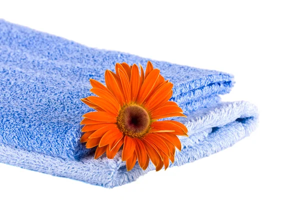 蓝色软蓬松毛巾、 花 — 图库照片