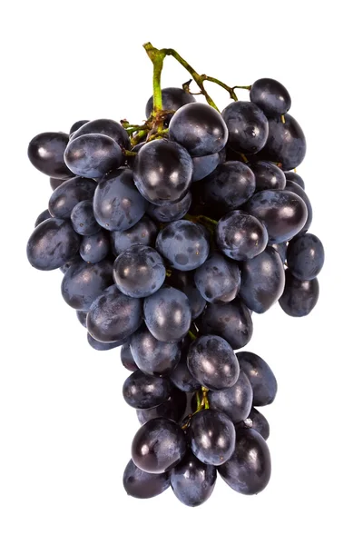 De tak van druiven geïsoleerd — Stockfoto